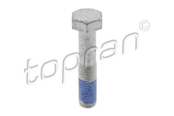 Болт шківа колінвалу TOPRAN 723934 - zapix