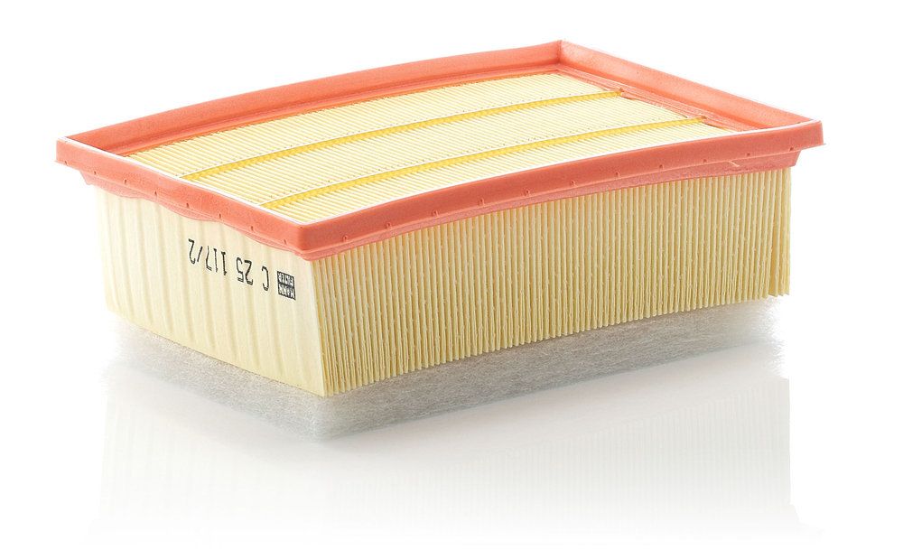 Повітряний фільтр MANN-FILTER C251172 - zapix