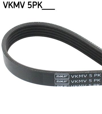 Поліклиновий ремінь SKF VKMV5PK1135 - zapix