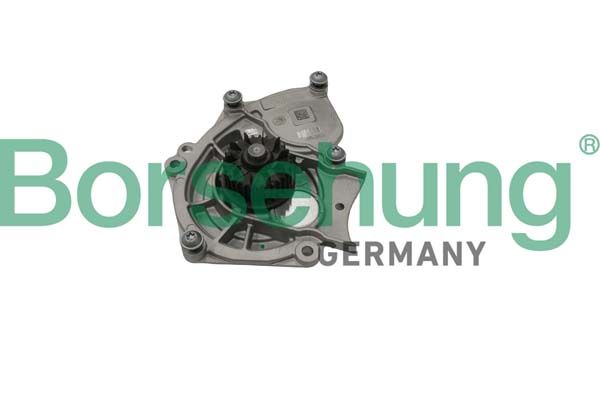 Помпа системи охолодження BORSEHUNG B15313 - zapix