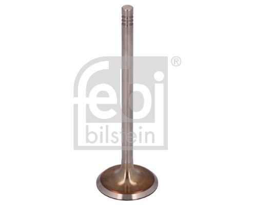 Впускний клапан FEBI BILSTEIN 12823 - zapix