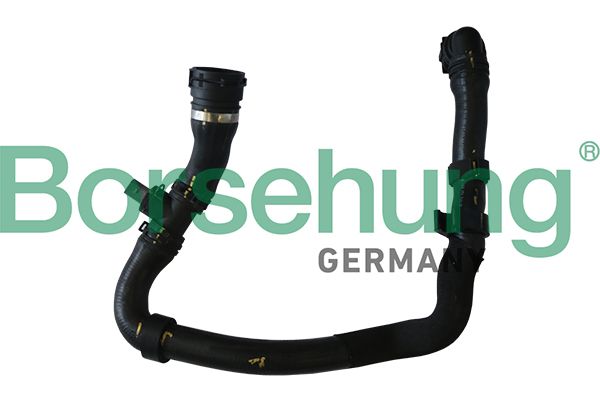 Патрубок системи охолодження BORSEHUNG B11960 - zapix