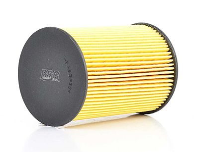 Паливний фільтр BSG90130005 - zapix