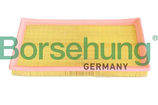 Повітряний фільтр BORSEHUNG B12293 - zapix