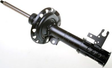 Амортизатор DENCKERMANN DSB114G - zapix