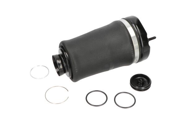 Пневматична підвіска KAVO PARTS SAS10004 - zapix