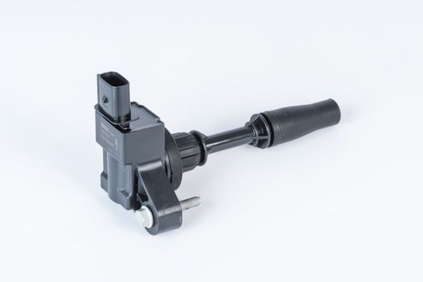 Котушка запалювання BORGWARNER (BERU) ZSE234 - zapix