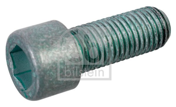 Болт шківа колінвалу FEBI BILSTEIN 01202 - zapix