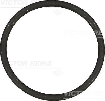 Прокладка впускного колектора VICTOR REINZ 407685400 - zapix