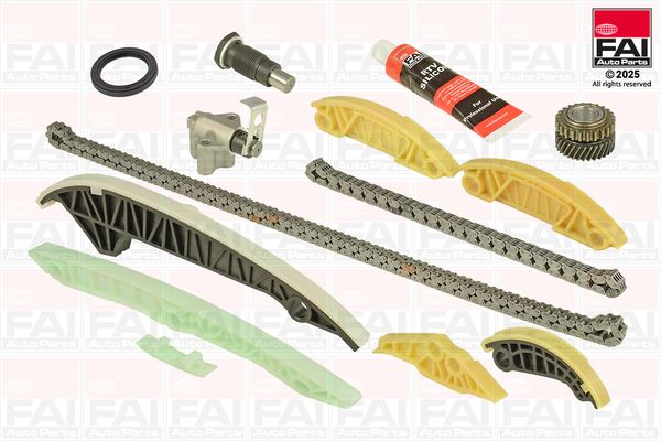 Комплект ланцюгів привода FAI AUTOPARTS TCK223L - zapix