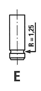 Впускний клапан FRECCIA R4883RCR - zapix