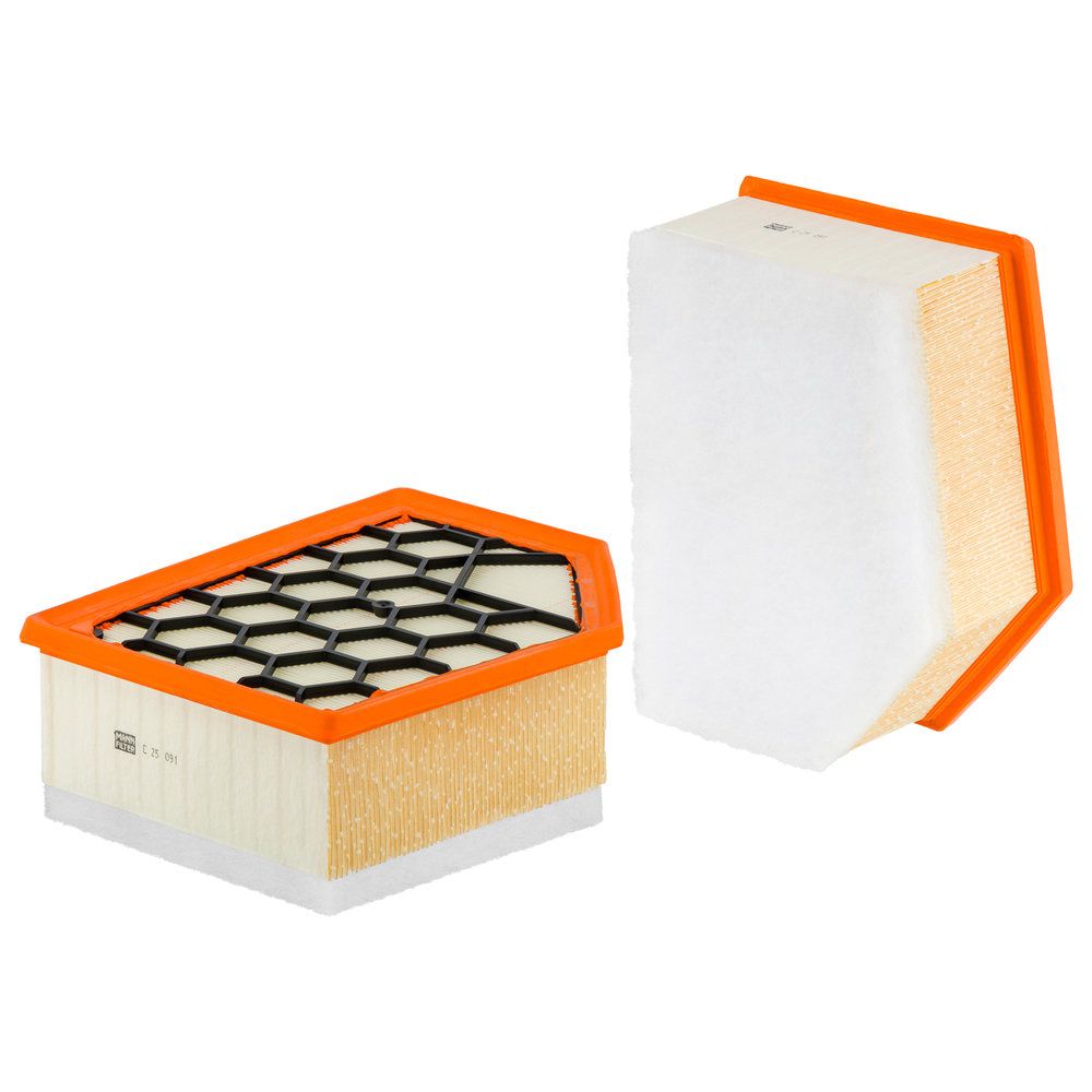 Повітряний фільтр MANN-FILTER C25091 - zapix