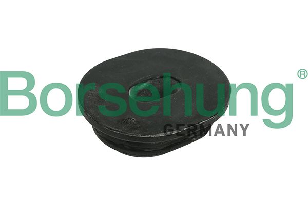 Кріплення радіатора BORSEHUNG B11362 - zapix