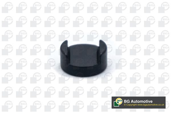 Штовхач клапана (гідрокомпенсатор) BGA TP3999 - zapix