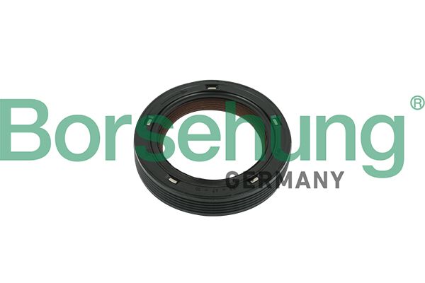 Сальник розподільного вала BORSEHUNG B18729 - zapix