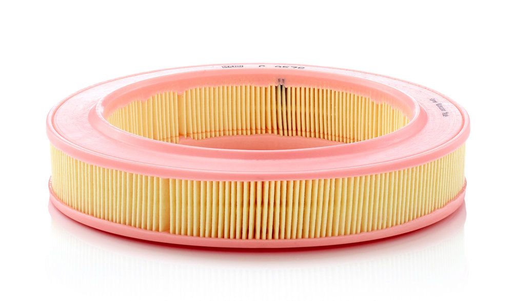 Повітряний фільтр MANN-FILTER C2536 - zapix