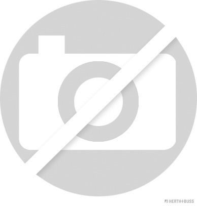 Реле паливного насоса HERTH+BUSS ELPARTS 75614607 - zapix