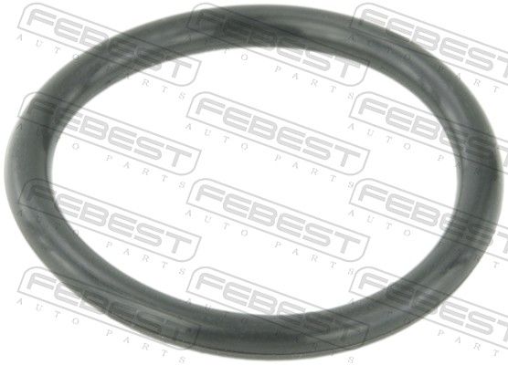 Прокладка фланця охолоджувальної рідини FEBEST RINGWHB5 - zapix
