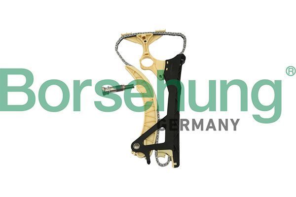 Комплект ланцюгів привода BORSEHUNG B18854 - zapix