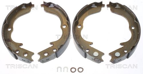 Гальмівні колодки ручника (барабанні) TRISCAN 810010029 - zapix