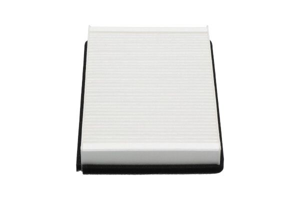 Фільтр салону KAVO PARTS DC1001 - zapix