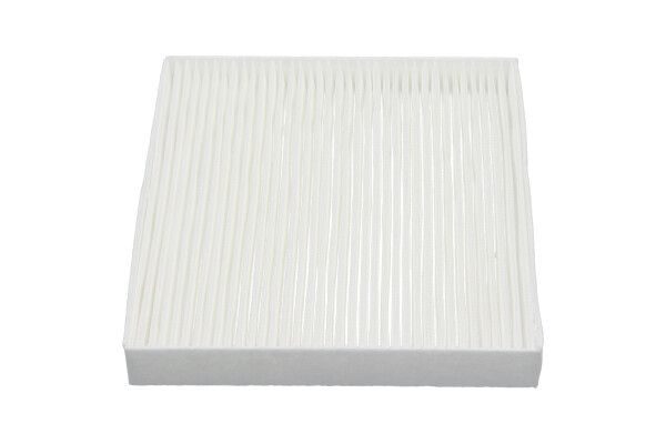 Фільтр салону KAVO PARTS HC8213 - zapix